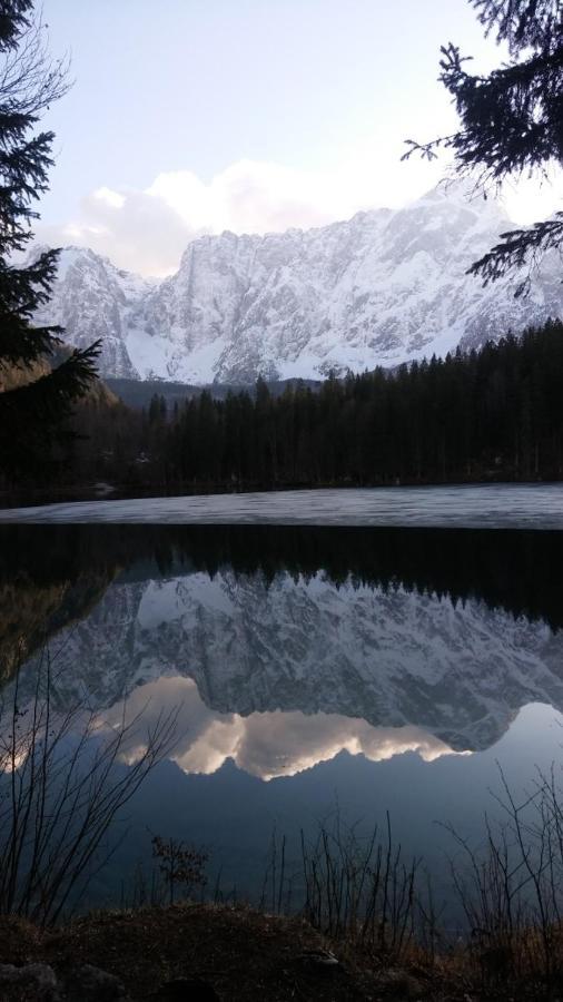Huatscher Camporosso  المظهر الخارجي الصورة
