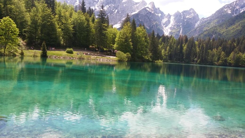 Huatscher Camporosso  المظهر الخارجي الصورة