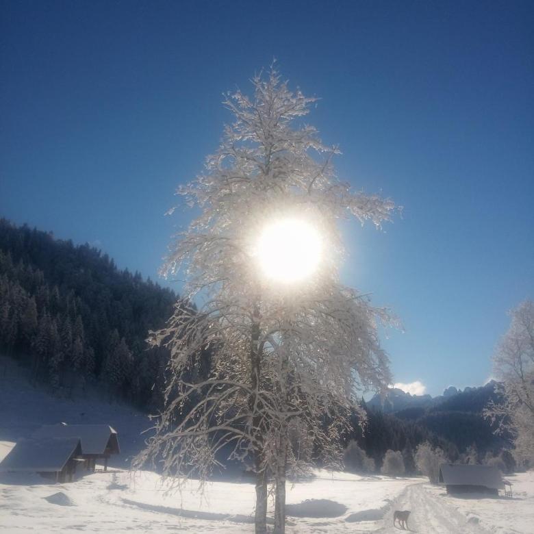 Huatscher Camporosso  المظهر الخارجي الصورة