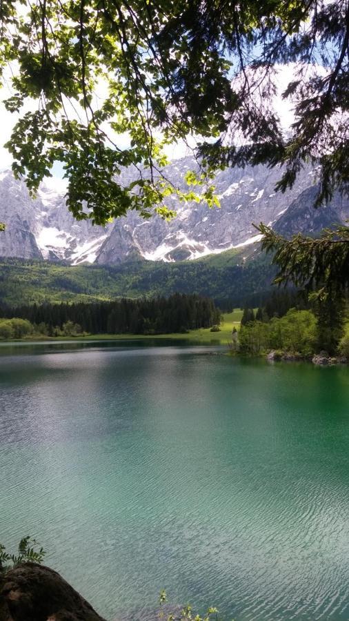 Huatscher Camporosso  المظهر الخارجي الصورة