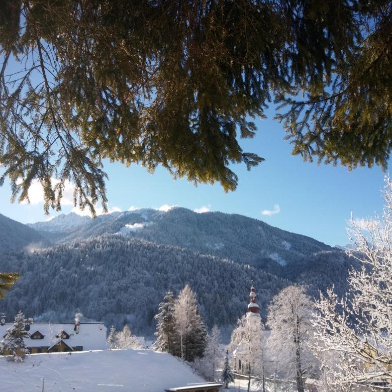 Huatscher Camporosso  المظهر الخارجي الصورة